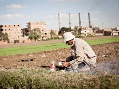 Amid political instability, farmers&rsquo; plight goes from bad to worse | &Eacute;gypte-actualit&eacute;s | Scoop.it