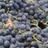 img_sport-nutrition