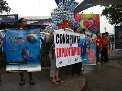 QC PROSECUTOR&rsquo;S OFFICE FILES CASE VS DOLPHIN SHOW PROMOTERS | Press Release | Earth Island Philippines Web Portal | Makamundo (Earthly) | Scoop.it