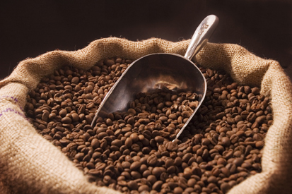 Climate change threatens sweet smell of morning coffee | The Glory of the Garden | Scoop.it