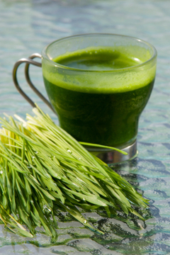 Green Superfood | Discover Green Superfoods and how Food Matters | FOODMATTERS&reg; | Food, wine and other pleasures | Scoop.it