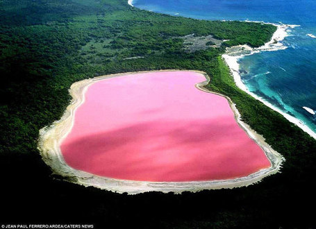 Lake Hillier: The Pink lake in Australia | Amazing Science | Scoop.it
