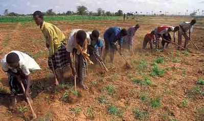 African agricultural ministers call for innovative funding to the sector | Invest in Africa | Scoop.it