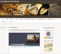 Modelos de r&uacute;bricas para blog de aula | EDUDIARI 2.0 DE jluisbloc | Scoop.it