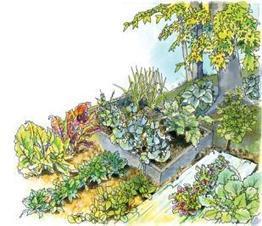 Best Vegetables to Grow in the Shade - Organic Gardening - MOTHER EARTH NEWS | Larrapin Garden Blog's Web Clips | Scoop.it