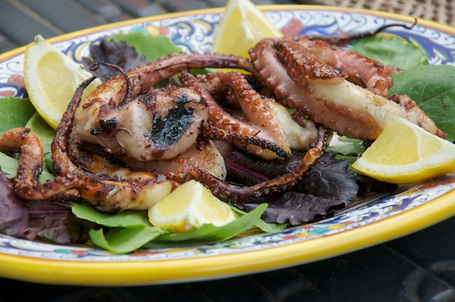 Polpo alla griglia  - Grilled Baby Octopus | Le Marche and Food | Scoop.it