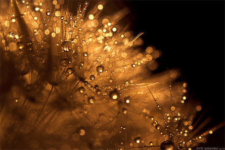 Fine Art Photography | Photography Tips | Scoop.it