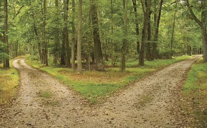 Sometimes not having a strategy is the best strategy | Corporate Social Business | Scoop.it