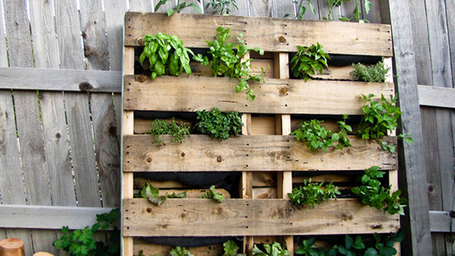 How to Build a Balcony Garden on a Shoestring Budget | Life'd | Balcony Gardening | Scoop.it