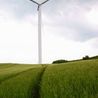 Green Innovation