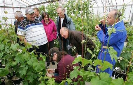 L&rsquo;Inra ouvre ses portes pour mieux expliquer ses missions - L'Alsace | Alsace Actu | Scoop.it