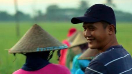 Rice Production | DuPont&trade; Rynaxypyr&reg; | DuPont ASEAN | Scoop.it