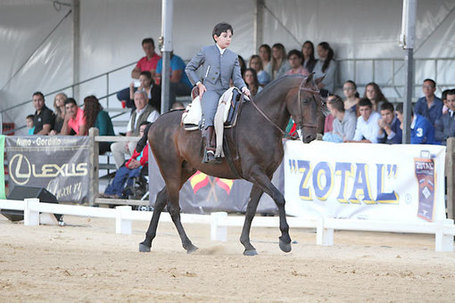 Tocina y Los Rosales disfruta de su concurso de Doma Vaquera - elcorreoweb.es | Caballo, Caballos | Scoop.it