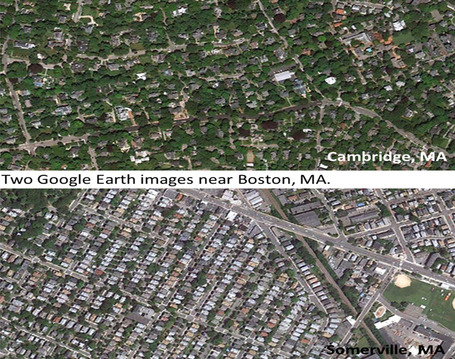 Urban Trees Reveal Income Inequality | Geography Education | Scoop.it