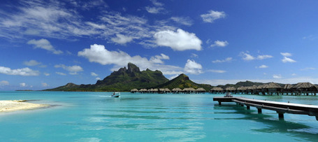 Les autres horizons du mono&iuml; | Api Our : Infos-Tahiti | Scoop.it