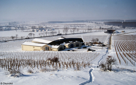 L&rsquo;univers fabuleux du Tokaji Asz&uacute; au Domaine Diszn&oacute;kő | Le blog de Christian Seely | Ess&ecirc;ncia L&iacute;quida | Scoop.it