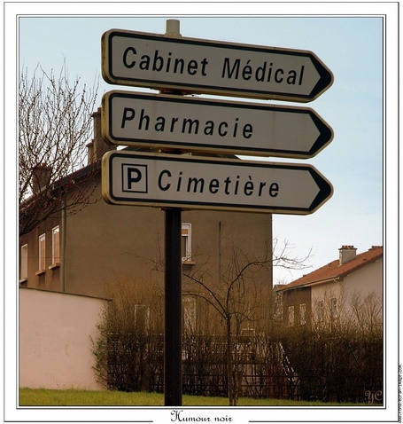France : haro sur les pesticides - ARTE Journal | Abeilles, intoxications et informations | Scoop.it
