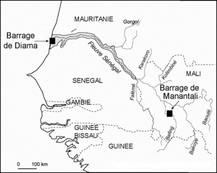 Conflits et coop&eacute;ration li&eacute;s &agrave; l&rsquo;eau du fleuve S&eacute;n&eacute;gal (G&eacute;ocarrefour) | G&eacute;ographie des conflits | Scoop.it