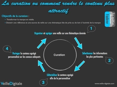 Le Cycle De La Curation 