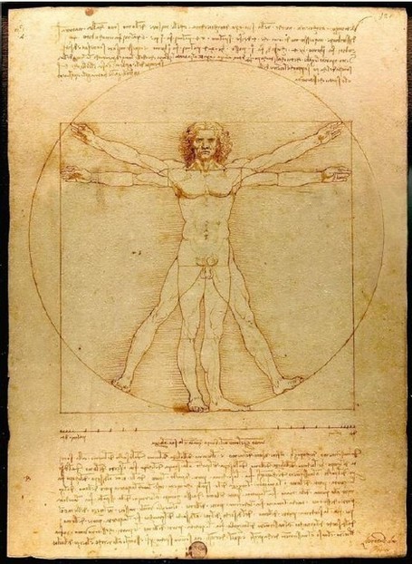 SVT et histoire des arts:L'Homme de Vitruve, dessin à la plume de ... | SVT - Lycée Franco Australien de Canberra | Scoop.it