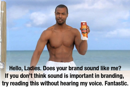 10 Companies That Totally Nail Copywriting | Product Description | Scoop.it