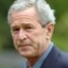 Littlebytesnews Current Events