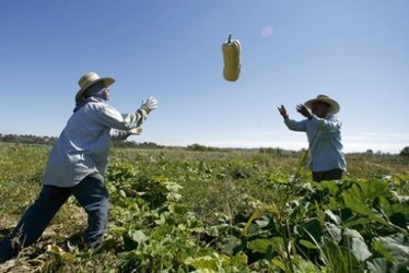 &laquo; On peut nourrir 10 milliards d&rsquo;humains en bio sans d&eacute;fricher un hectare &raquo; | Nature to Share | Scoop.it