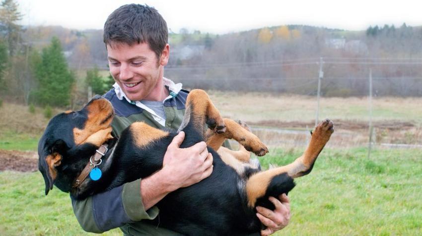 L'amour entre l'homme et le chien prouvé par la biologie