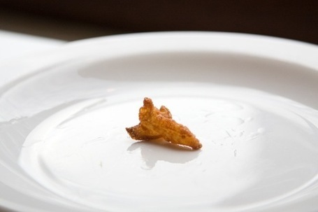 Feeding the Final Frontier: 3-D Printers Could Make Astronaut Meals | Wired Science | | Farming, Forests, Water & Fishing (No Petroleum Added) | Scoop.it