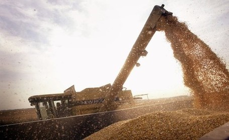 How Anti-GMO Activists Are Polluting Science Communication | La Cueva del Lobo | Scoop.it
