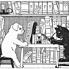 Learning, Education, and Neuroscience