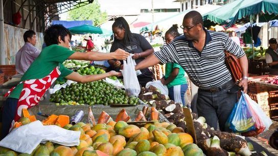 Les filières agro-alimentaires ultramarines face à de nombreux défis