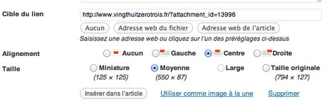 Acc&eacute;dez au menu cach&eacute; de Wordpress | Meta conseil | Scoop.it