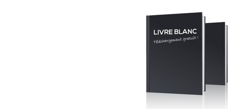 Livre blanc des strat&eacute;gies digitales 2013 | Web2Shop | Scoop.it