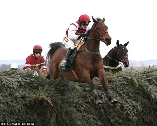 Have scientists found a winning formula? Researchers claim they can predict Grand National winner... and their money is on Seabass