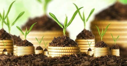 You Are a Commission Only Salesperson | Business Coaching | Scoop.it