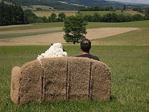 Documentaire sur l'agriculture et son impact sur le paysage - Ath en ... | Changer la donne | Scoop.it