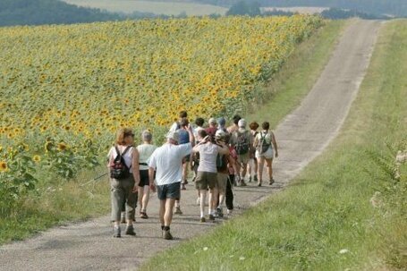 L'&eacute;t&eacute; sera sport en P&eacute;rigord | tourisme-perigord-vezere | Scoop.it