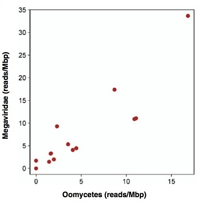 ISME Journal: Exploring nucleo-cytoplasmic large DNA viruses in Tara Oceans microbial metagenomes (2013) | Plant Pathogenomics | Scoop.it