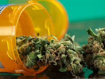 Study: Smoking pot may ease pain, muscle spasms in people with multiple sclerosis | Psychology and Brain News | Scoop.it