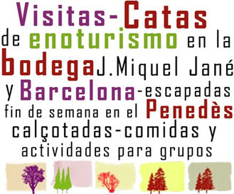 Curso completo de viticultura, enolog&iacute;a y cata | Life in Spain ! | Scoop.it
