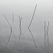 "Sudden Stillness" - Contemplative Photography | Contemplative Spirituality | Scoop.it