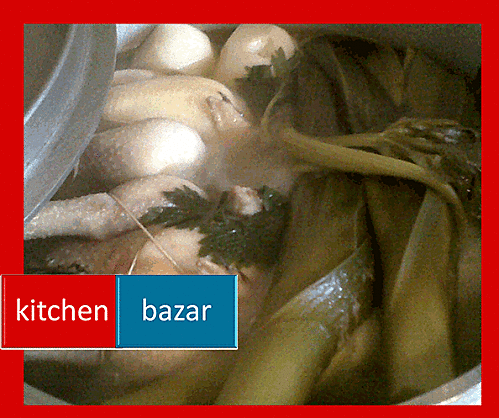 Bubbemycine on recommence | aquarium | Scoop.it
