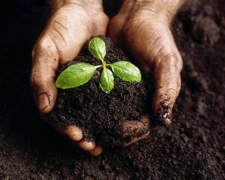 Why I want to be an Eco Kid! | Cayo Scoop!  Bestofcayo.com's E-mag. | Scoop.it