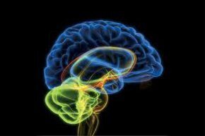 A San Rossore le nuove frontiere della vita grazie all&rsquo;informatica | Podologia Medica | Scoop.it