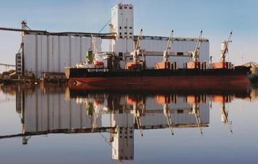 Corn surges on export sales | Grain du Coteau : News ( corn maize ethanol DDG soybean soymeal wheat livestock beef pigs canadian dollar) | Scoop.it