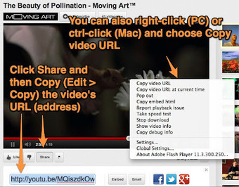 iPad Essentials: Working around the Barriers to YouTube Access | #iPadChat | Scoop.it