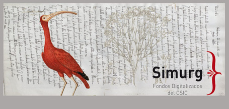 NUEVO PORTAL SIMURG, FONDOS DIGITALIZADOS DEL CSIC, EN VERSI&Oacute;N DE PRUEBA - csic.es | Digitization&Metadata | Scoop.it