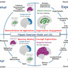 Universal Design for Learning and Curriculum