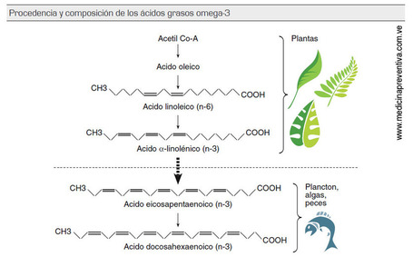 Los &Aacute;cidos Grasos Omega 3 y su importancia | Diabetes tipo II y como cuidarse | Scoop.it